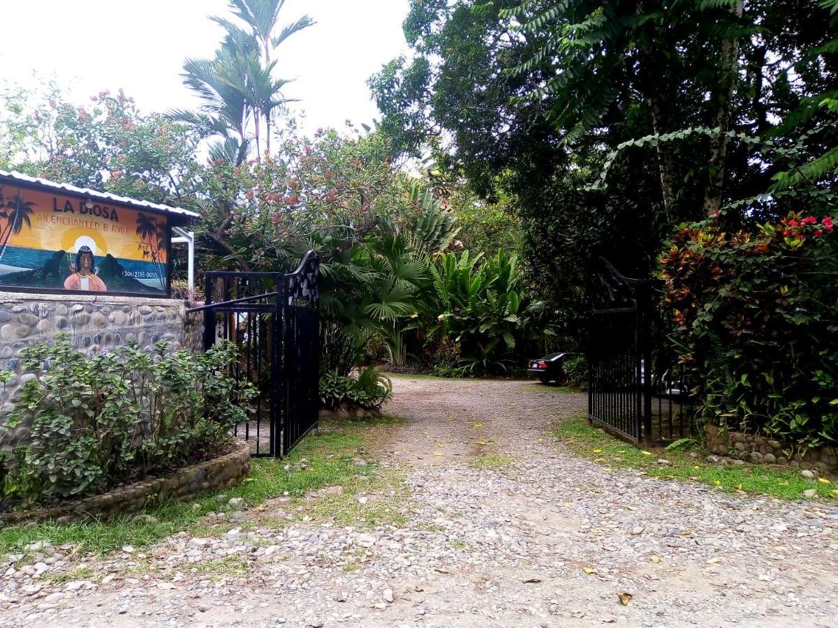 Hotel La Diosa Cahuita Exteriér fotografie