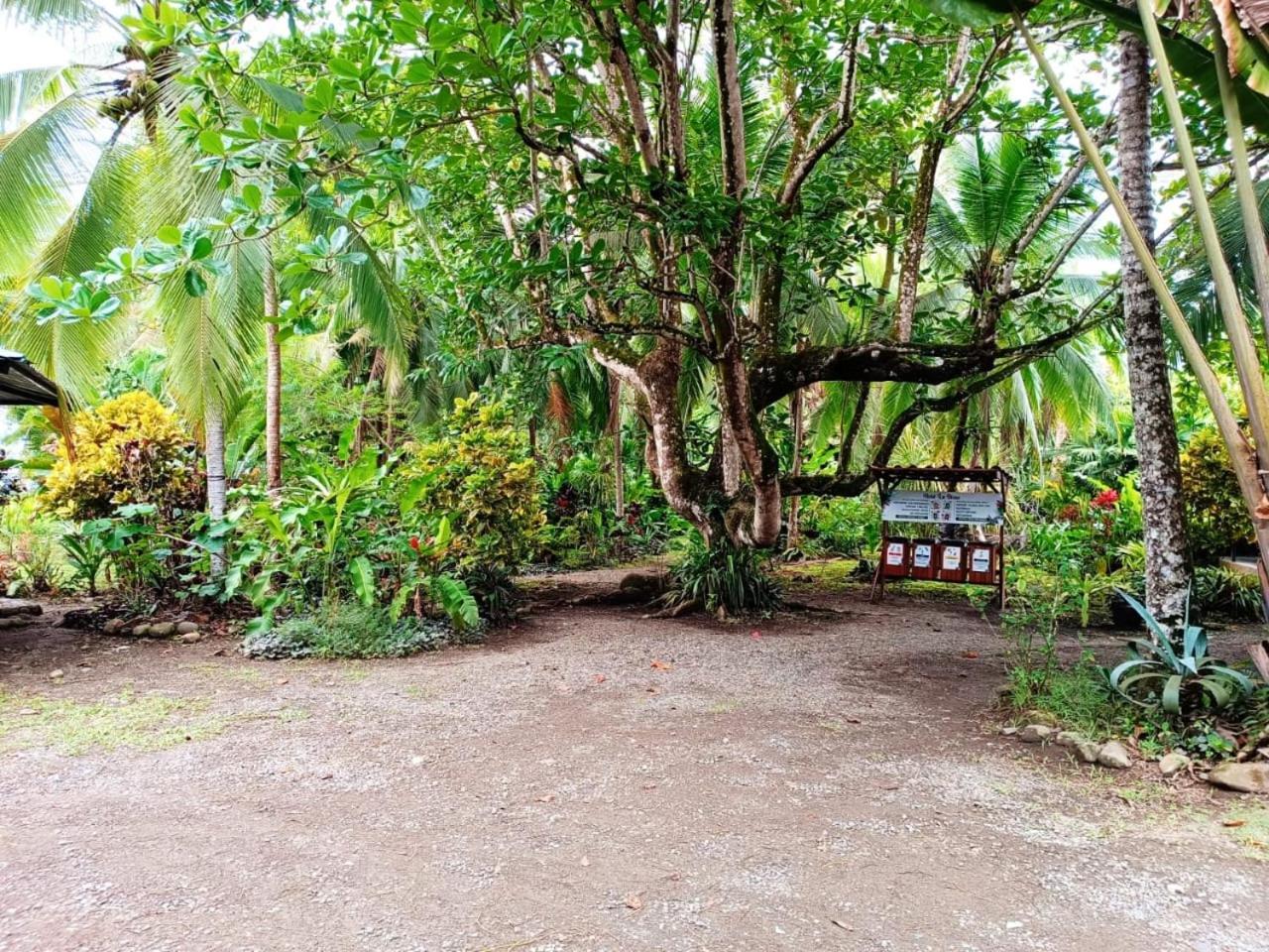 Hotel La Diosa Cahuita Exteriér fotografie