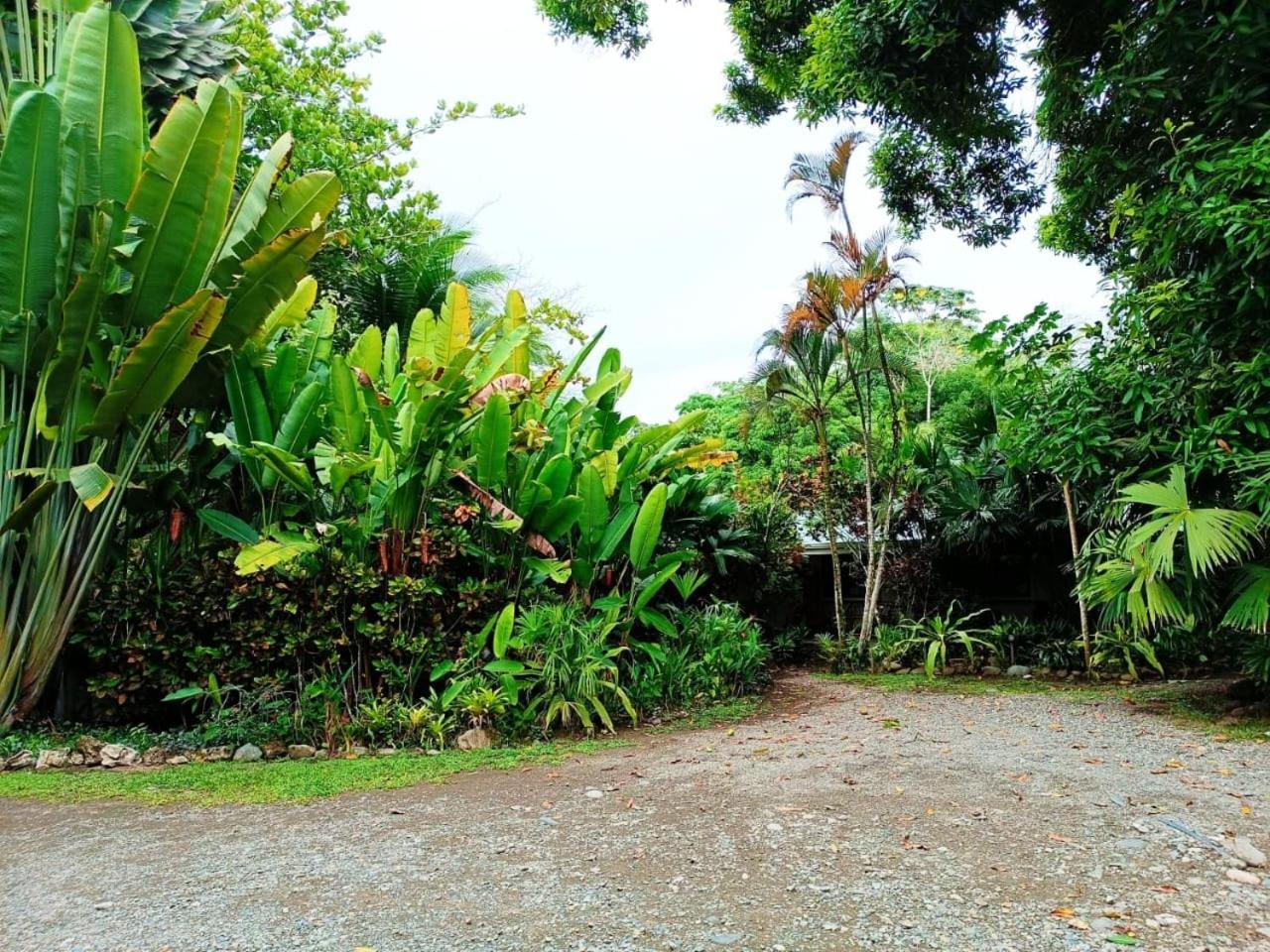 Hotel La Diosa Cahuita Exteriér fotografie