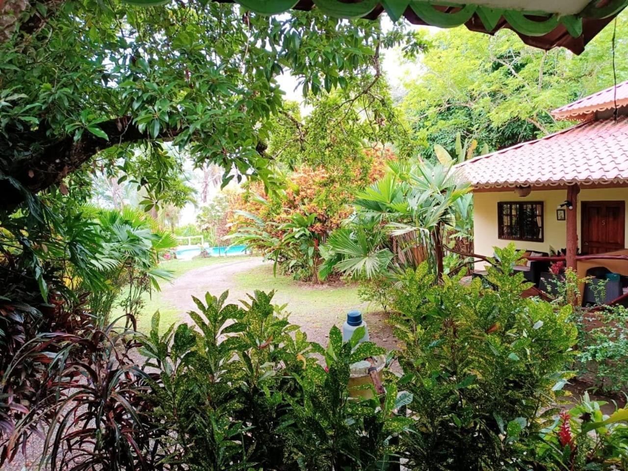 Hotel La Diosa Cahuita Exteriér fotografie
