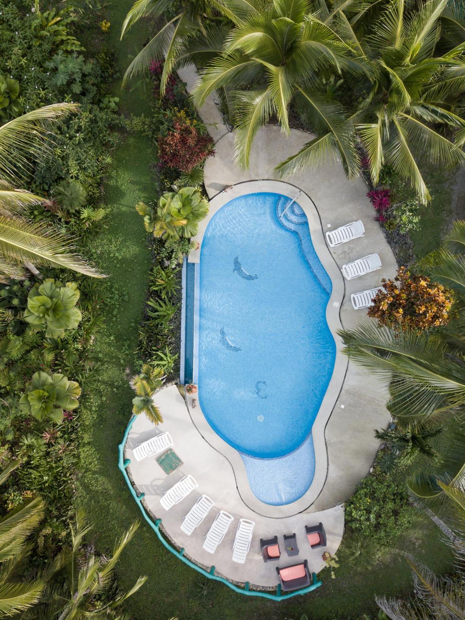 Hotel La Diosa Cahuita Exteriér fotografie